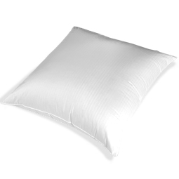 European Square Pillows