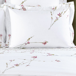 Gaura Percale
