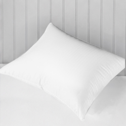 Travel Pillows