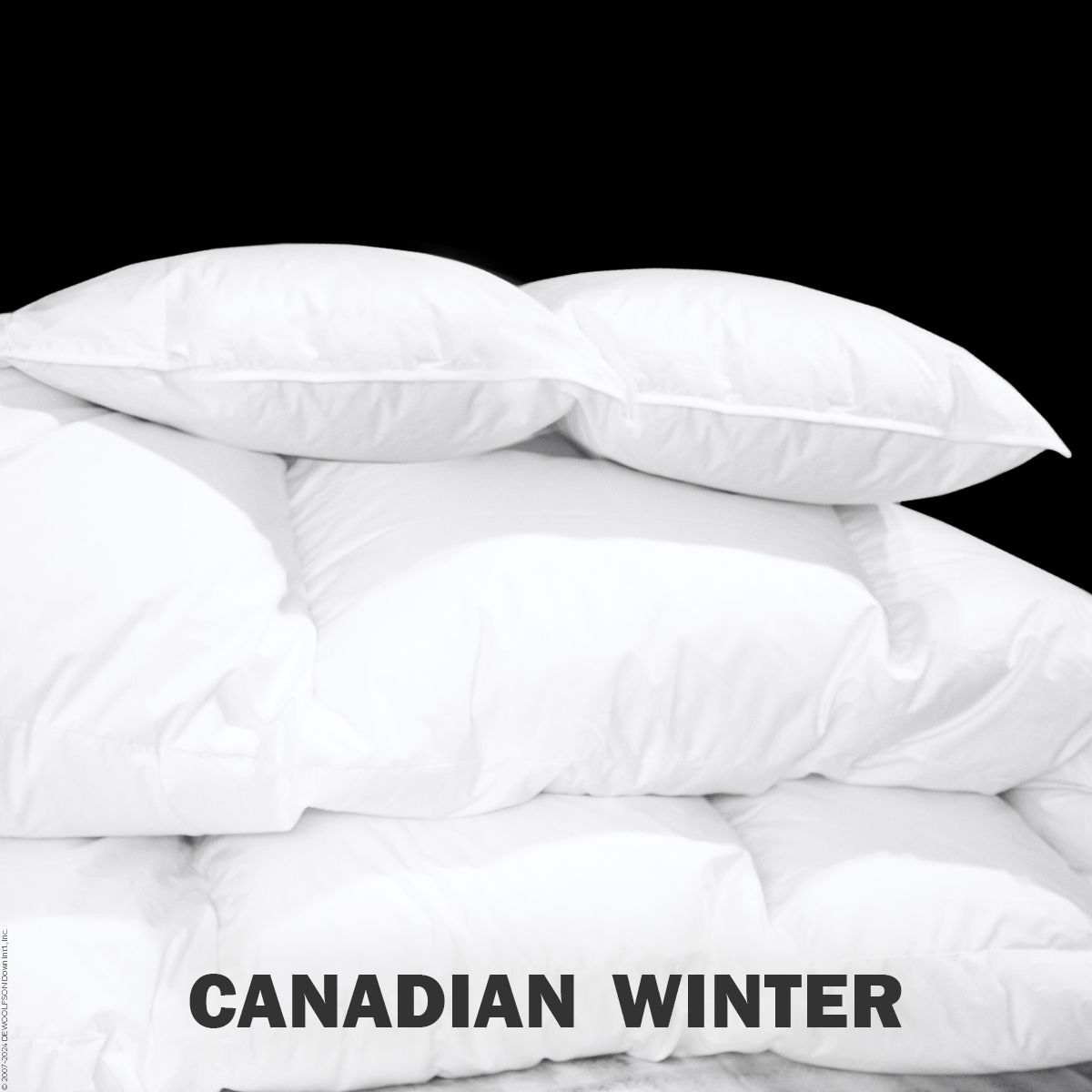 European Daunendecke 