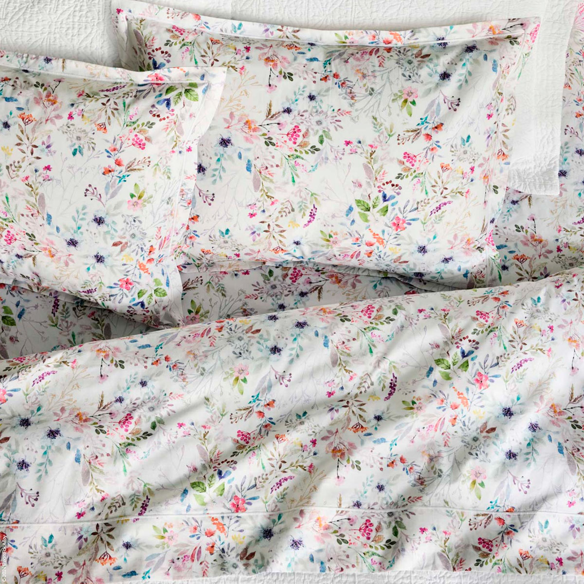 Chloe Sheet Set Chloe Sheet Set