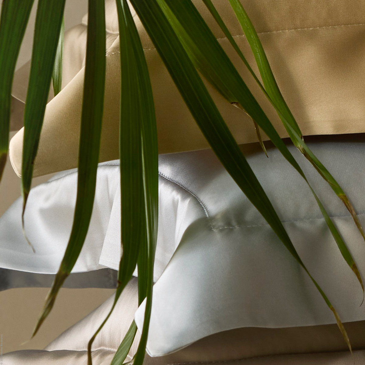 Mulberry Silk