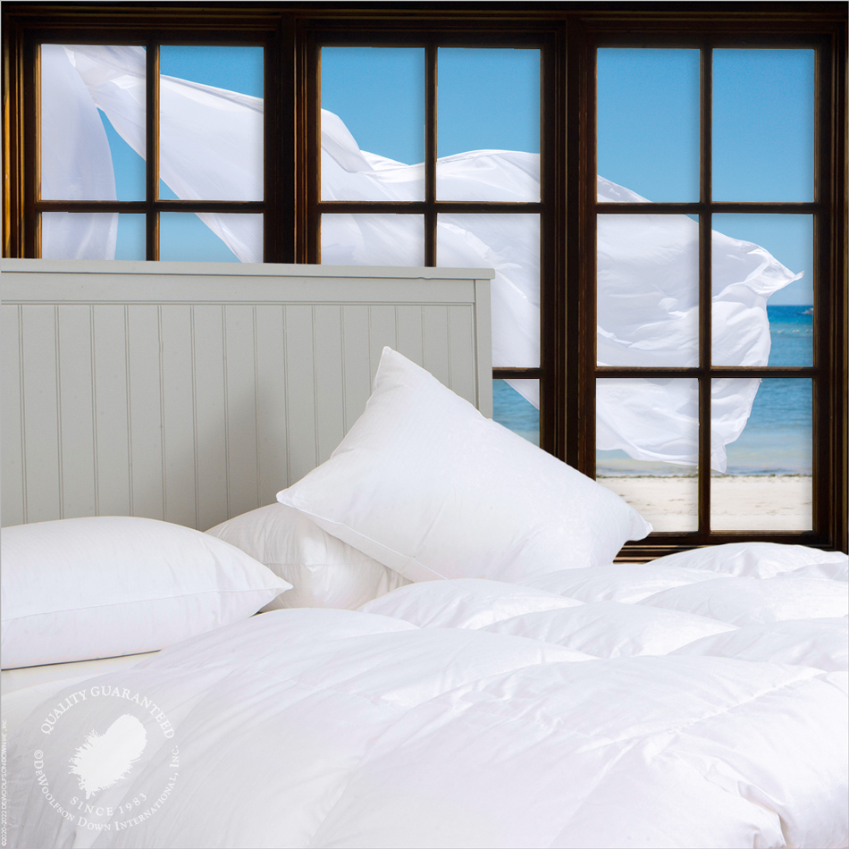 Our Newest Nano Batiste